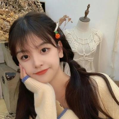 学生王子